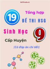 Tổng hợp 19 đề thi HSG Sinh học Lớp 9 cấp Huyện (Có đáp án chi tiết)